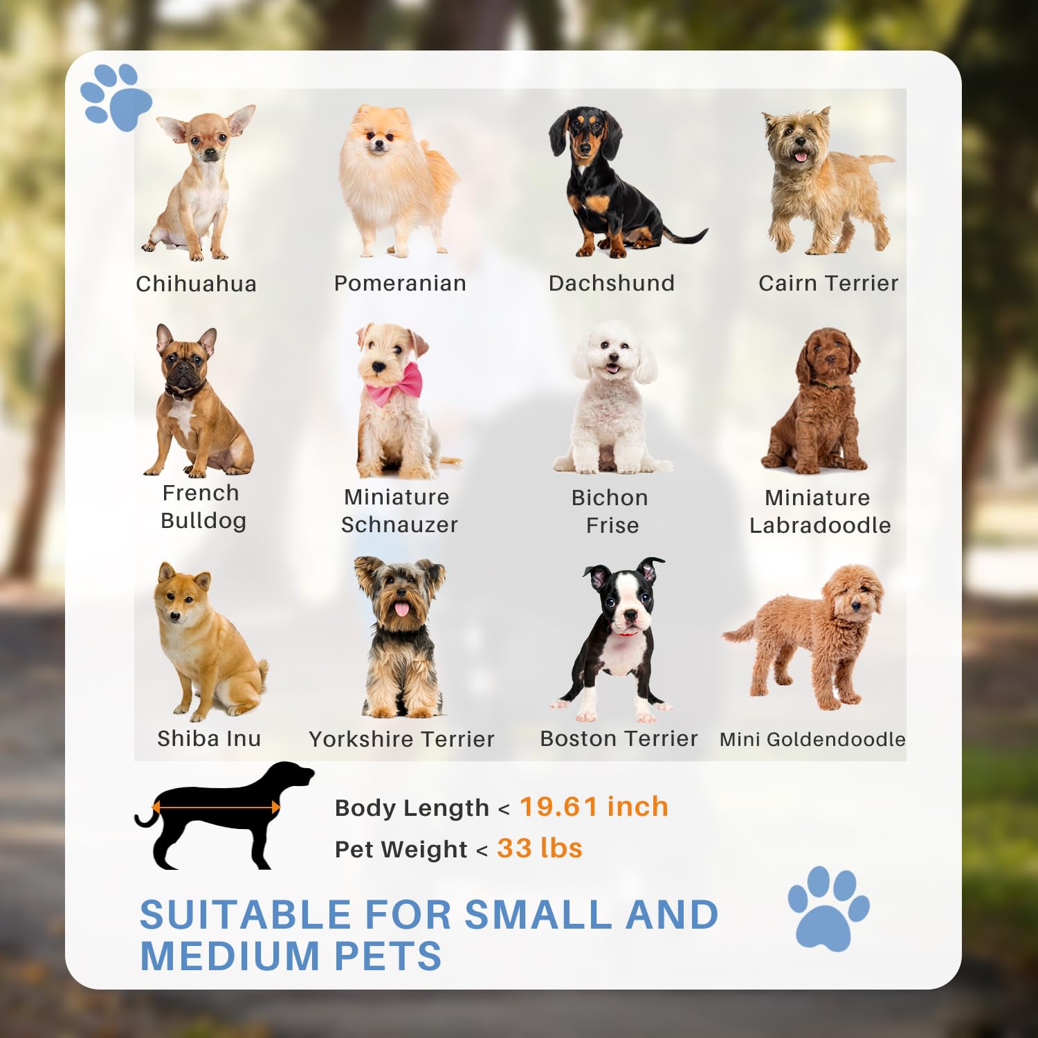 LIFERECORD Foldable Dog Stroller for Small/Medium Dogs, Lightweight & Durable Pet Stroller with Storage Basket, Cup Holders for Travel & Outdoor Use